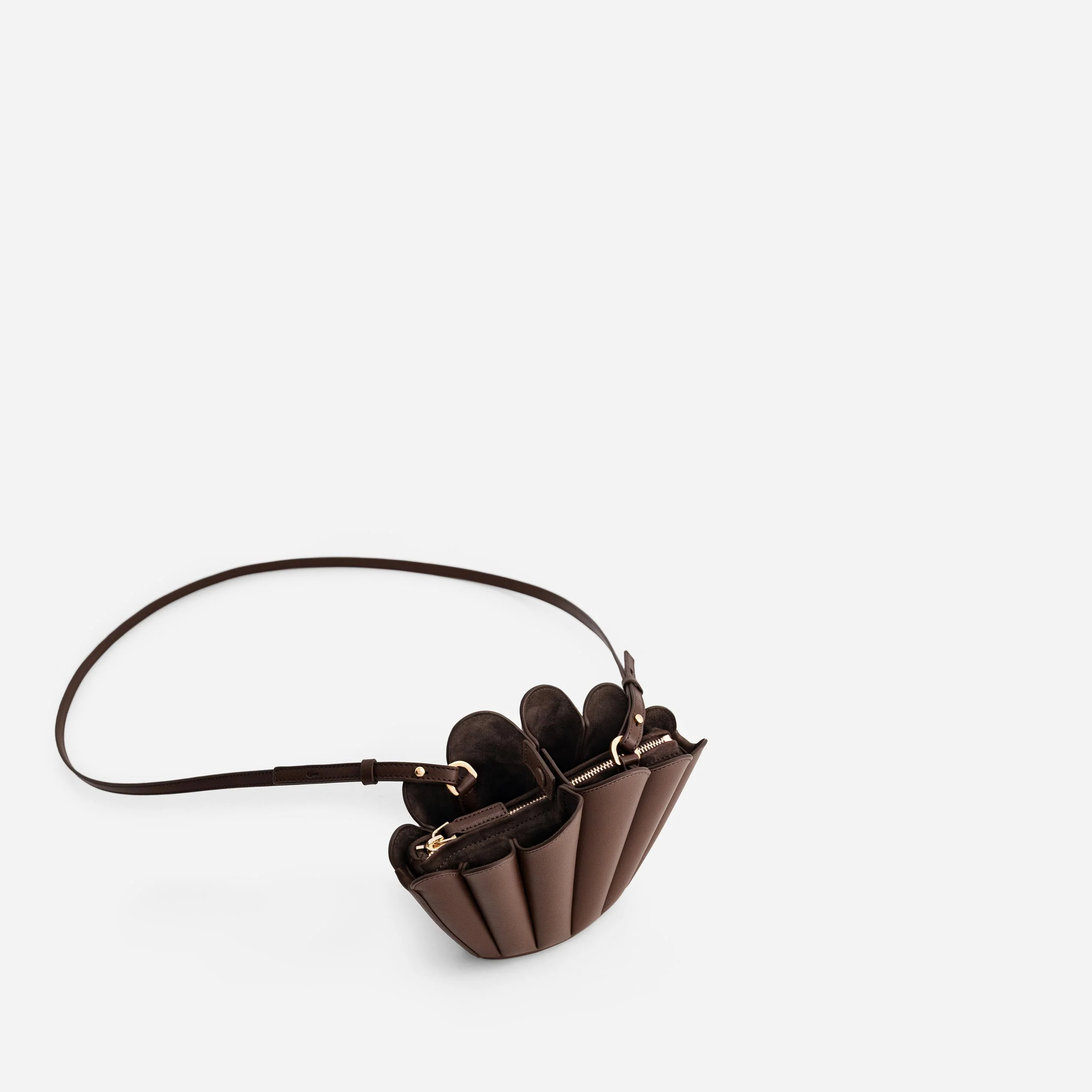 Micro Seashell - Espresso - Image 4